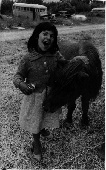 (3677) Child, pony (3677) Child, pony